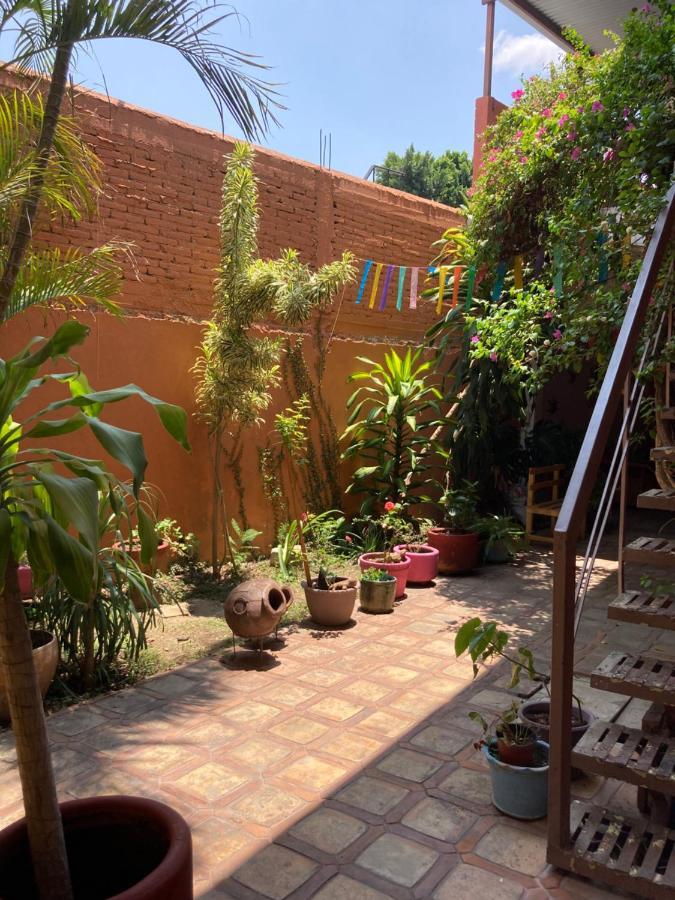 Calida Habitacion A 10 Min De Santo Domingo Oaxaca Bagian luar foto