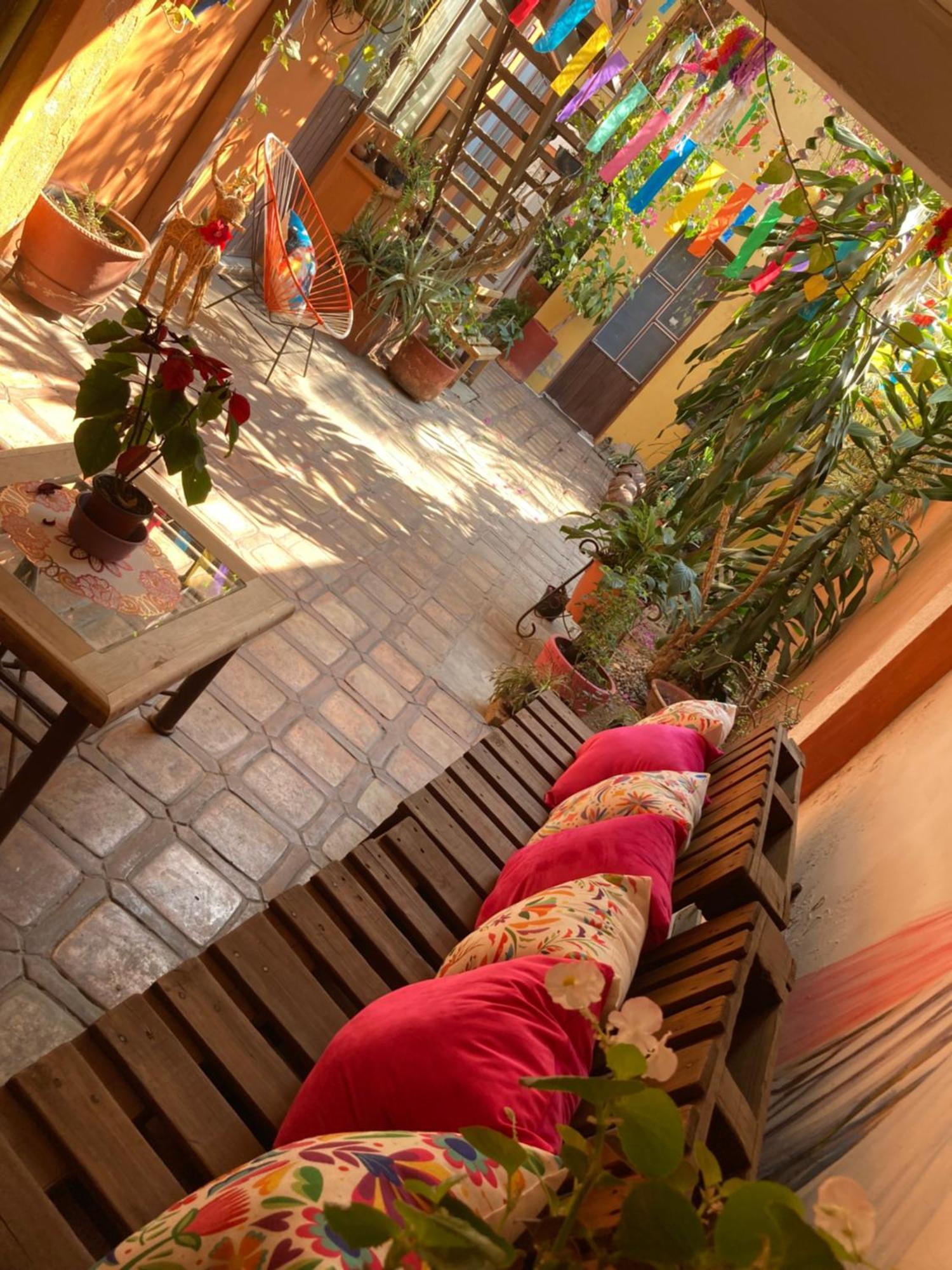 Calida Habitacion A 10 Min De Santo Domingo Oaxaca Bagian luar foto